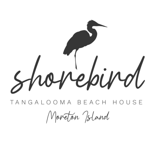 Shorebird On Moreton