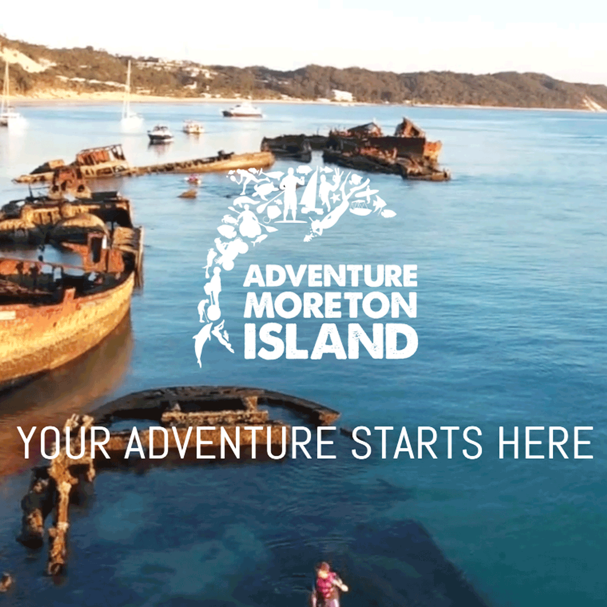 About Moreton Island Shorebird Tangalooma Beach House, Moreton Island