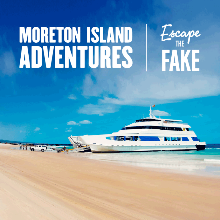 About Moreton Island Shorebird Tangalooma Beach House, Moreton Island